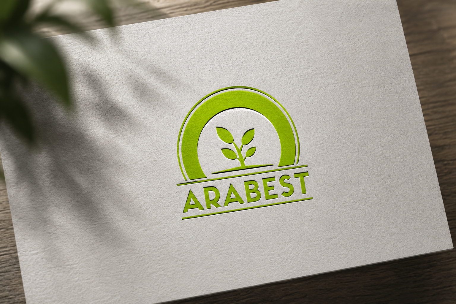 Arasoft logo