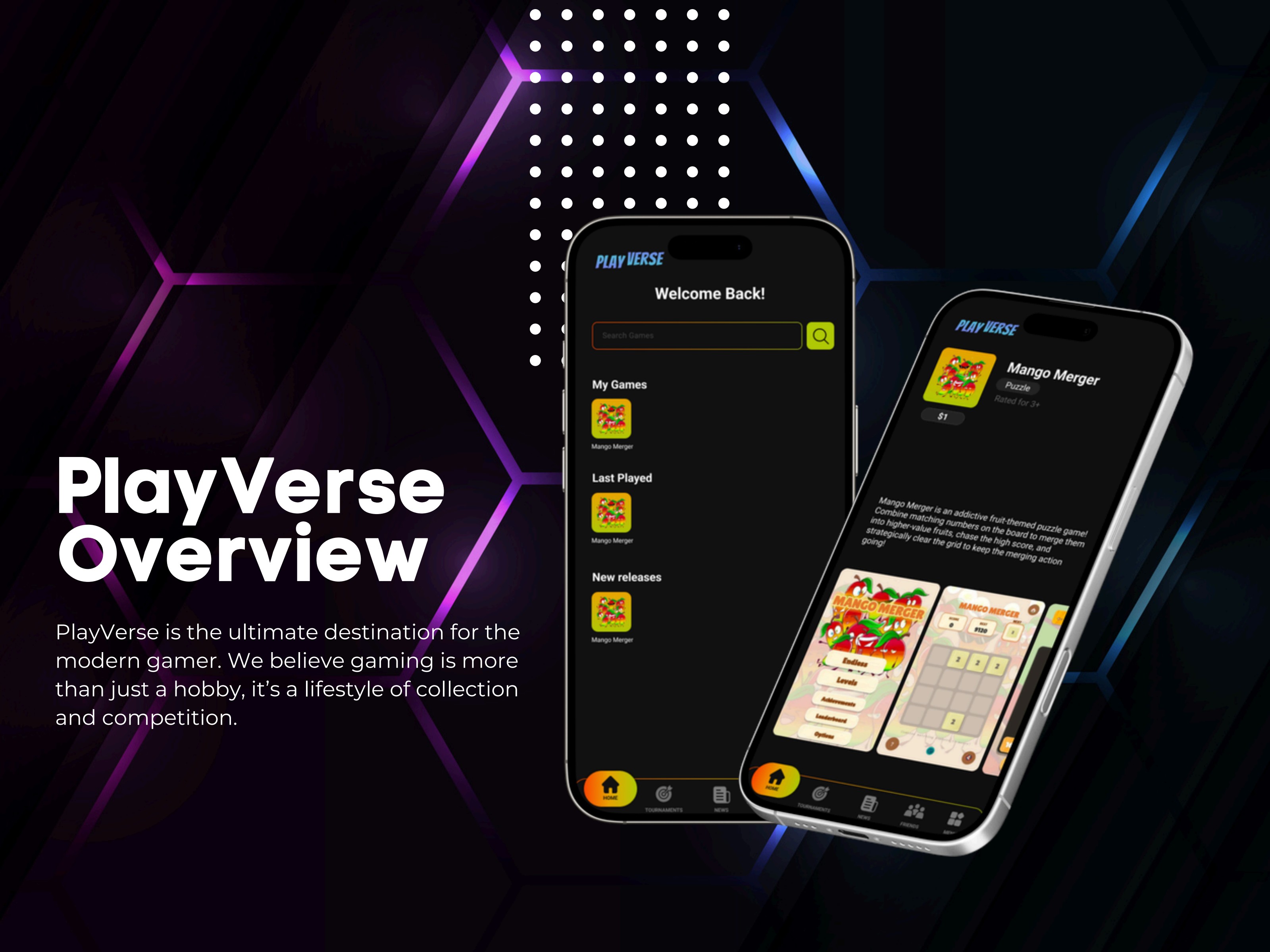 PlayVerse app overview