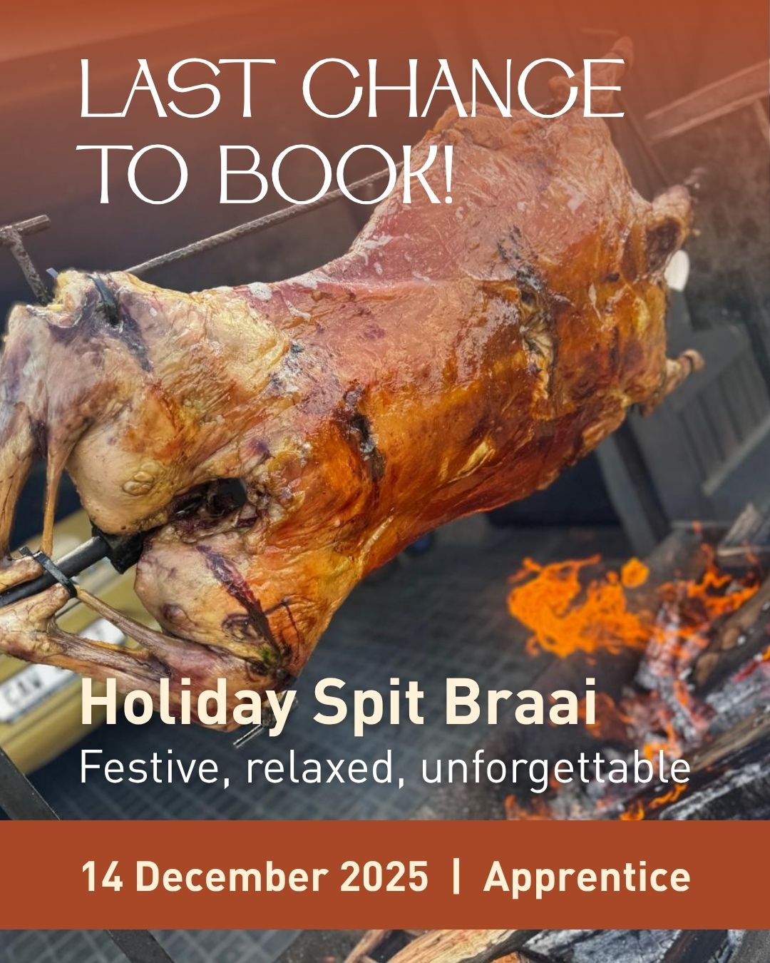 Holiday Spit Braai 3